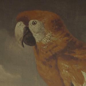 刘涛穿三角裤头的照片
