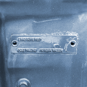 刘涛穿三角裤头的照片
